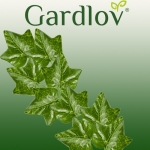 Gardlov 19735 Závesný brečtan drobnolistý umelý 25,2 m